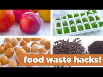 Food Waste Hacks! - Mind Over Munch